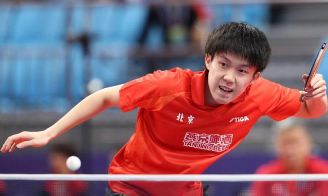 德约科维奇 德约科维奇